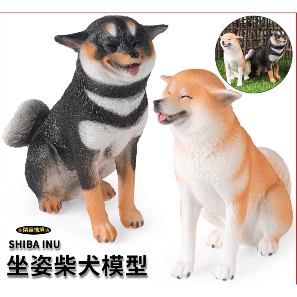 （高品質畫工）仿真 實心 柴犬 赤柴 黃柴 黑柴 飛機耳 憨笑 寵物狗 動物模型 野生動物 公仔 SPG-規格圖9