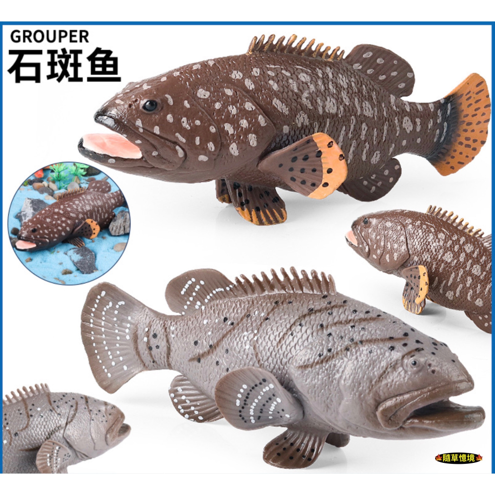 （高品質畫工）仿真 石斑魚 紅季魚 會魚 石斑 魚 魚類 動物模型 野生動物 兒童玩具 益智 公仔 SPG-細節圖2