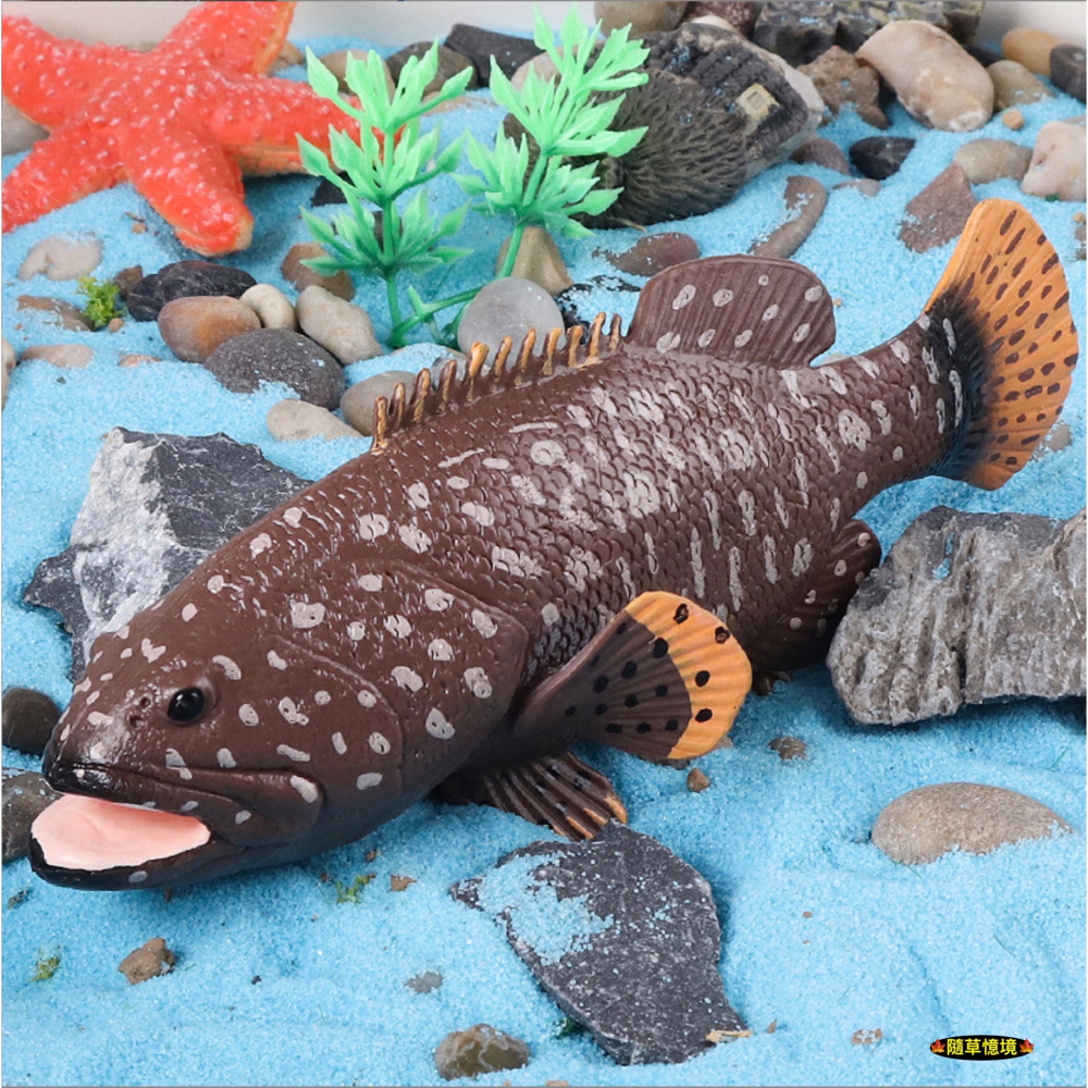（高品質畫工）仿真 石斑魚 紅季魚 會魚 石斑 魚 魚類 動物模型 野生動物 兒童玩具 益智 公仔 SPG-細節圖3