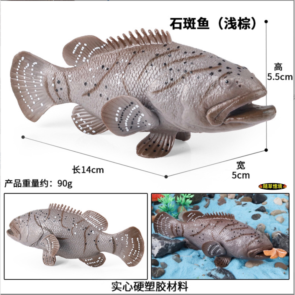 （高品質畫工）仿真 石斑魚 紅季魚 會魚 石斑 魚 魚類 動物模型 野生動物 兒童玩具 益智 公仔 SPG-細節圖5