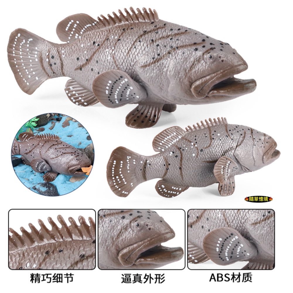 （高品質畫工）仿真 石斑魚 紅季魚 會魚 石斑 魚 魚類 動物模型 野生動物 兒童玩具 益智 公仔 SPG-細節圖6