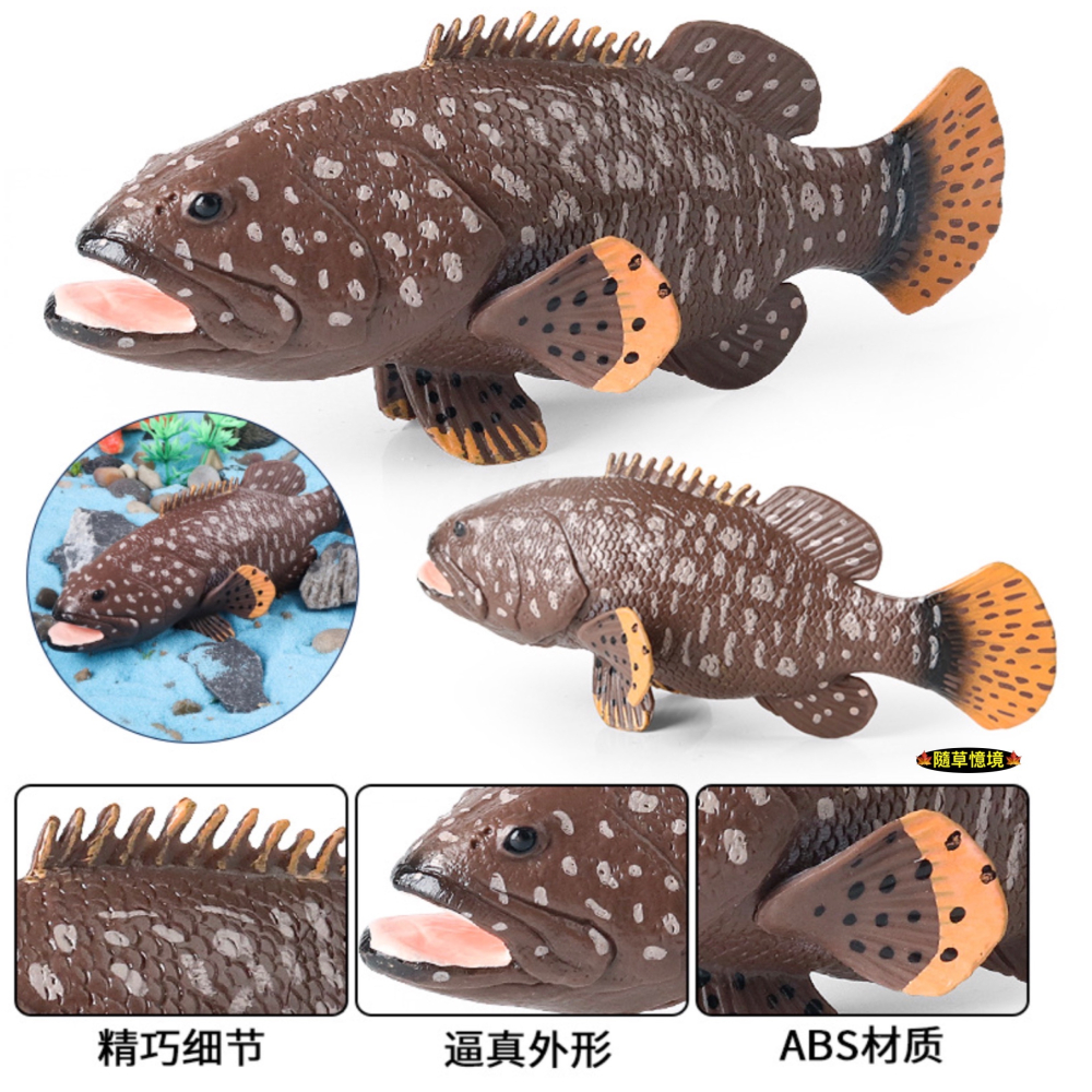 （高品質畫工）仿真 石斑魚 紅季魚 會魚 石斑 魚 魚類 動物模型 野生動物 兒童玩具 益智 公仔 SPG-細節圖7