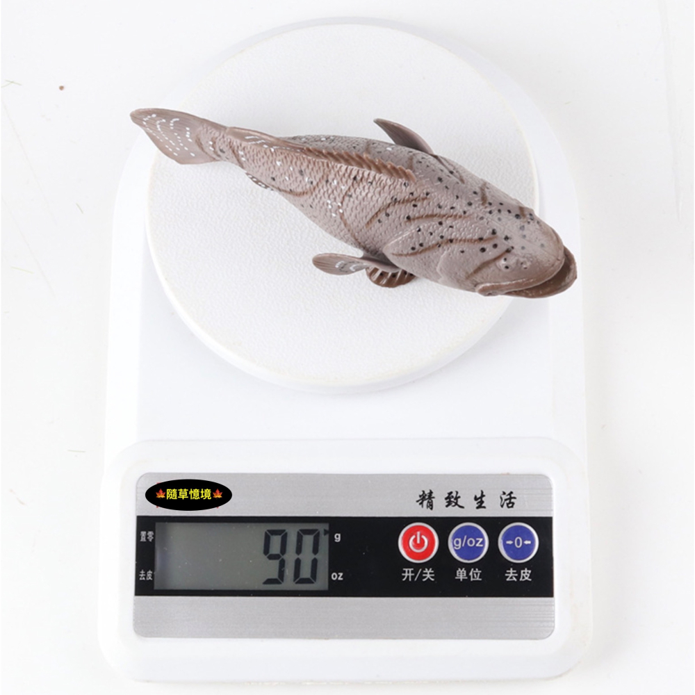 （高品質畫工）仿真 石斑魚 紅季魚 會魚 石斑 魚 魚類 動物模型 野生動物 兒童玩具 益智 公仔 SPG-細節圖8