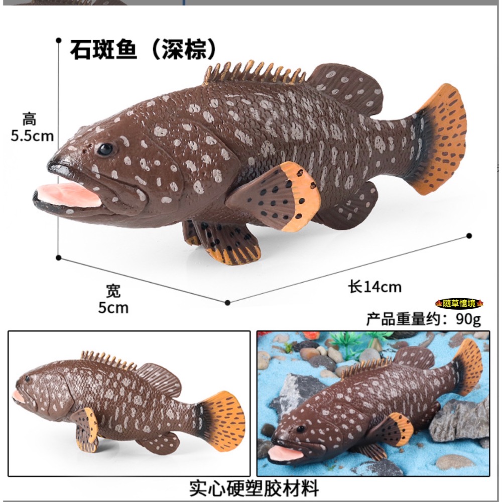 M-3188石斑魚（深棕）