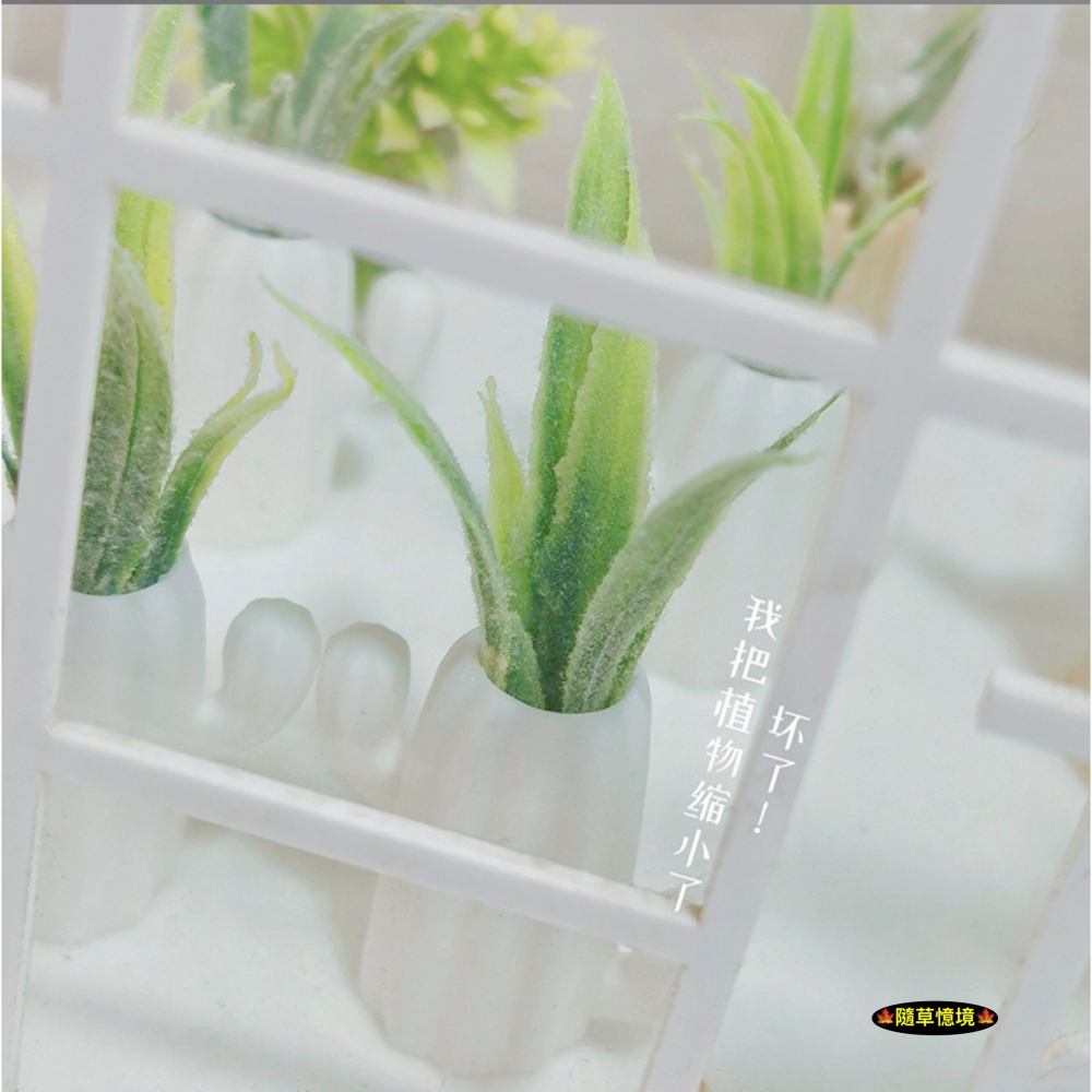 迷你仿真 仙人掌 造型 盆栽 綠植 北歐 花盆 K525 娃娃屋 袖珍 微縮 食玩 微景觀 模型-細節圖3