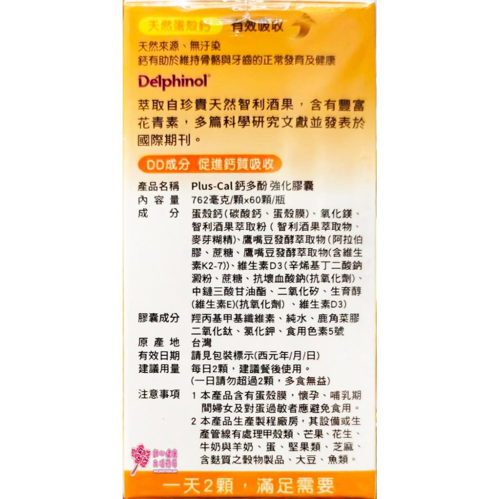 旭能 Plus-Cal 鈣多酚 強化膠囊 60粒/盒-細節圖3