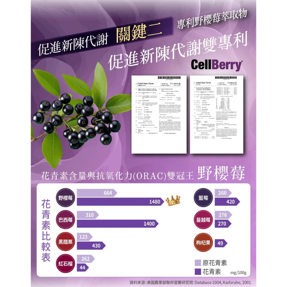 隔日到貨｜紫纖飲🍷 醫美術後 泌尿道 南瓜水 自動喝水神器 營養補充 分期零利率 雪花紫纖飲 狐狸茶 香檳氣泡飲 婕樂纖-細節圖6