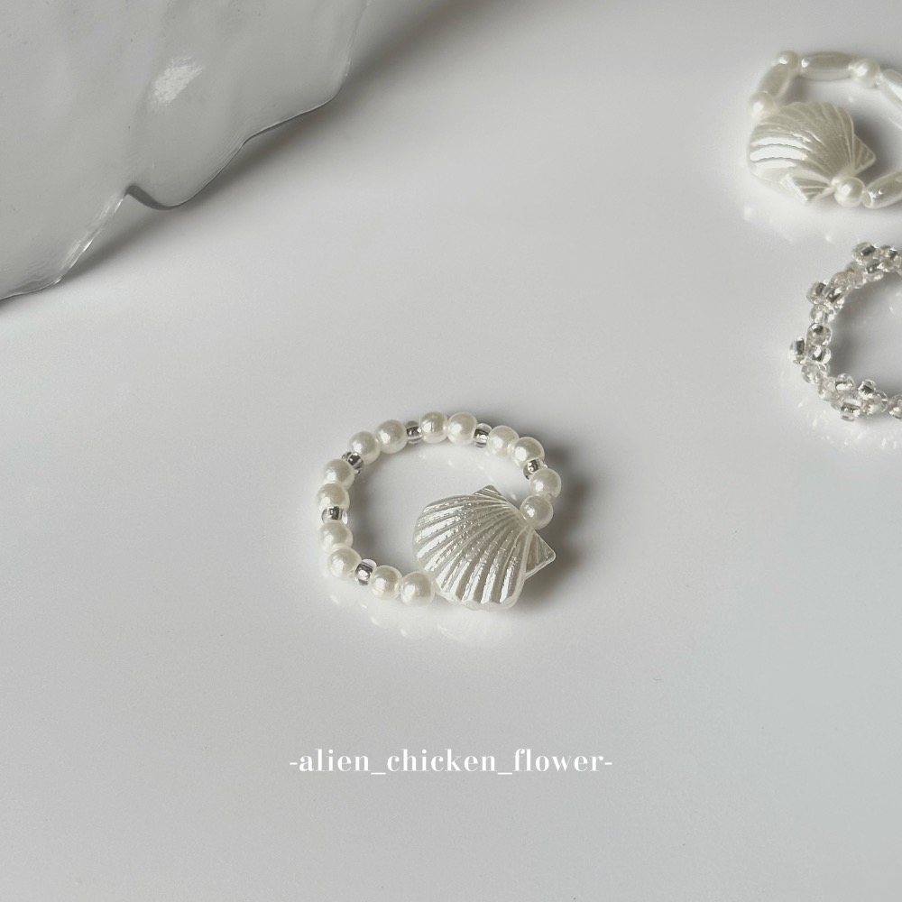 圓滾滾咕嚕白嫩貝殼🐚✨