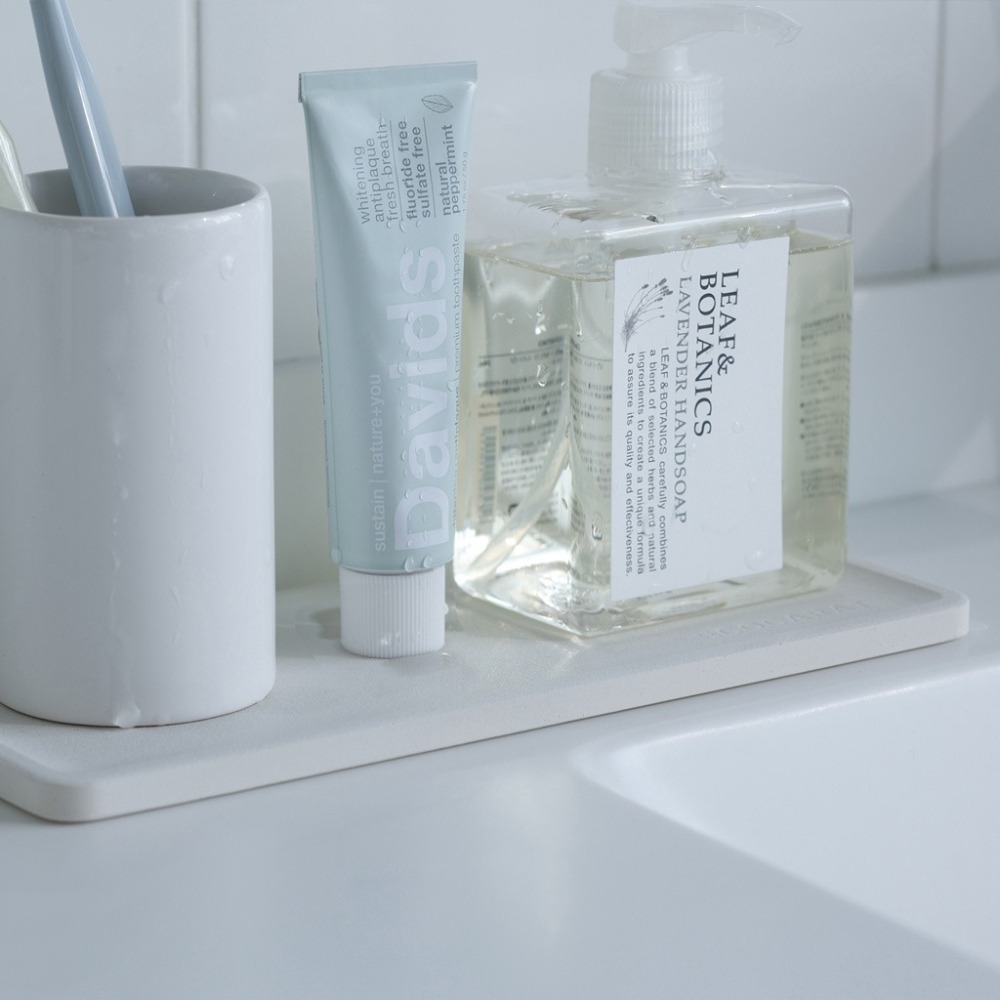 【預購】日本 MARNA ECOCARAT多孔陶瓷吸濕盤-細節圖3