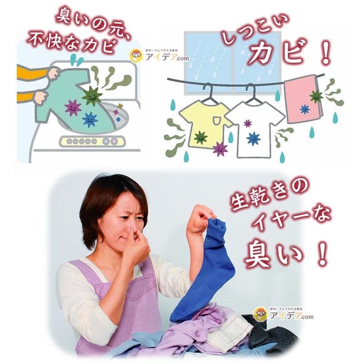 【預購】日本製 COGIT 洗衣槽殺菌除臭片-細節圖3