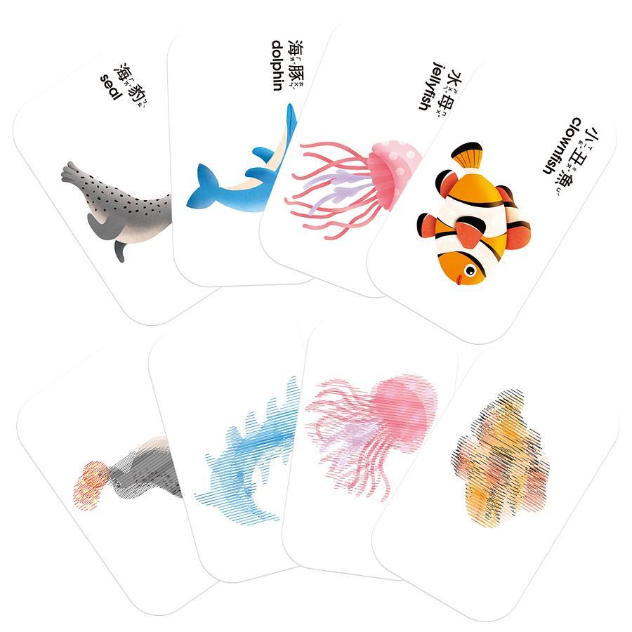 【小資特】識字卡 0歲早教卡：黑與白 0歲早教卡：形與色 1歲早教卡：動物 2歲早教卡：數字123 學習卡-細節圖6