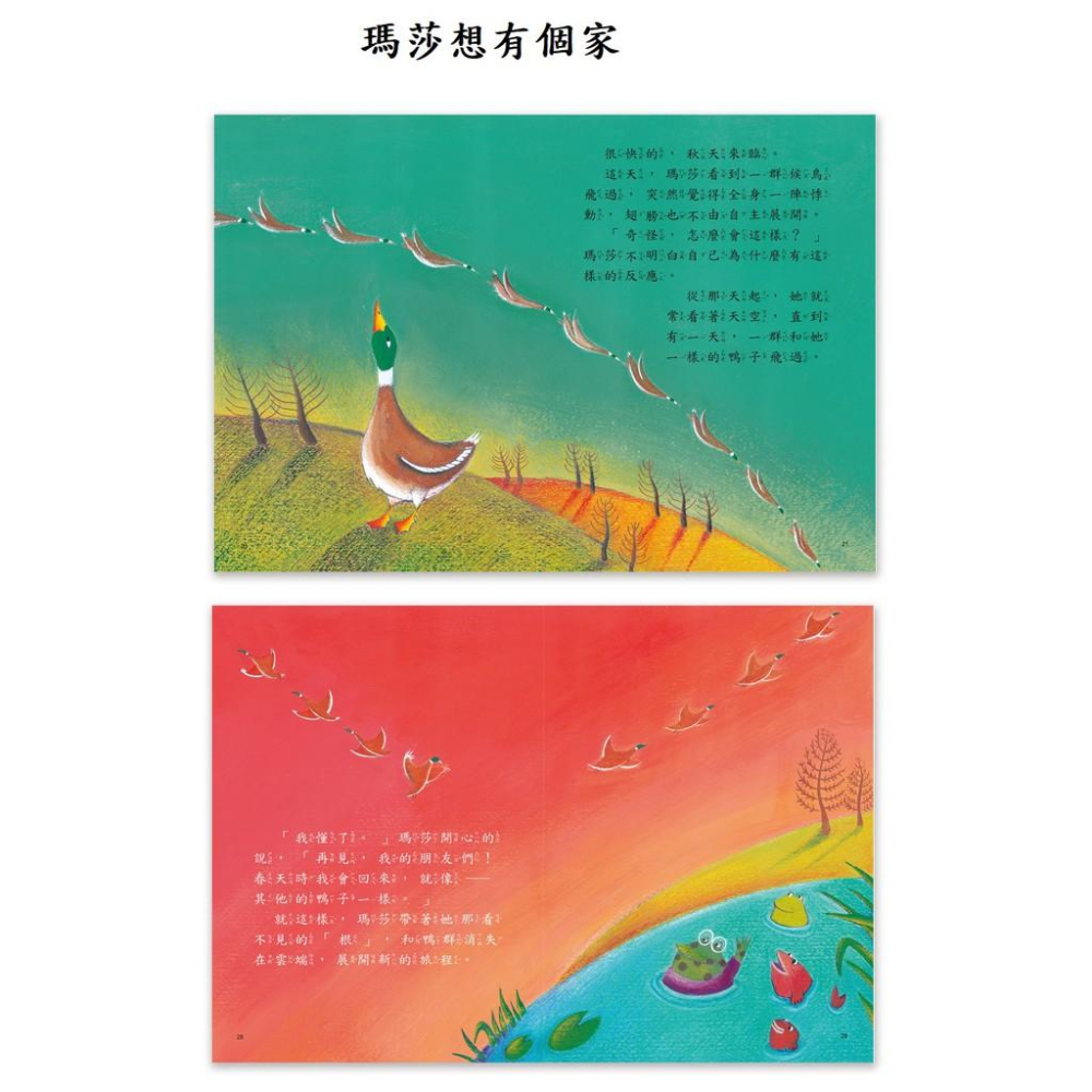 【小資特】典藏繪本 瑪莎想有個家 披著狼皮的羊 大家一起去玩吧 米契不知道自己有多棒 驕傲的螢火蟲露西 故事繪本-細節圖6