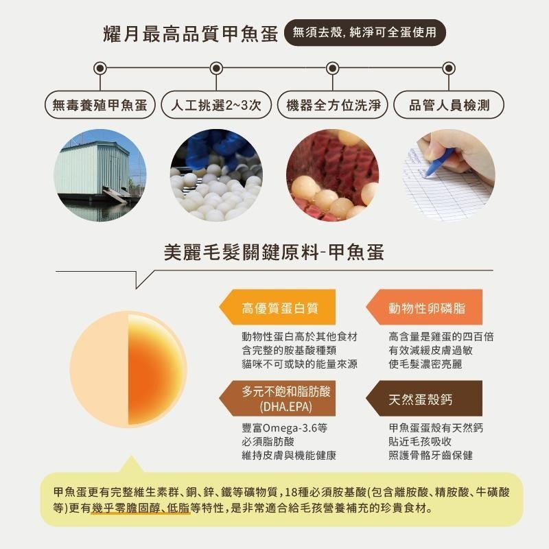 【ChewMe】貓咪 鱉蛋爆毛粉 鱉蛋粉| 原廠正貨 牛磺酸 離胺酸 甲魚蛋 護毛 皮膚問題 營養補充 |TQ MART-細節圖5