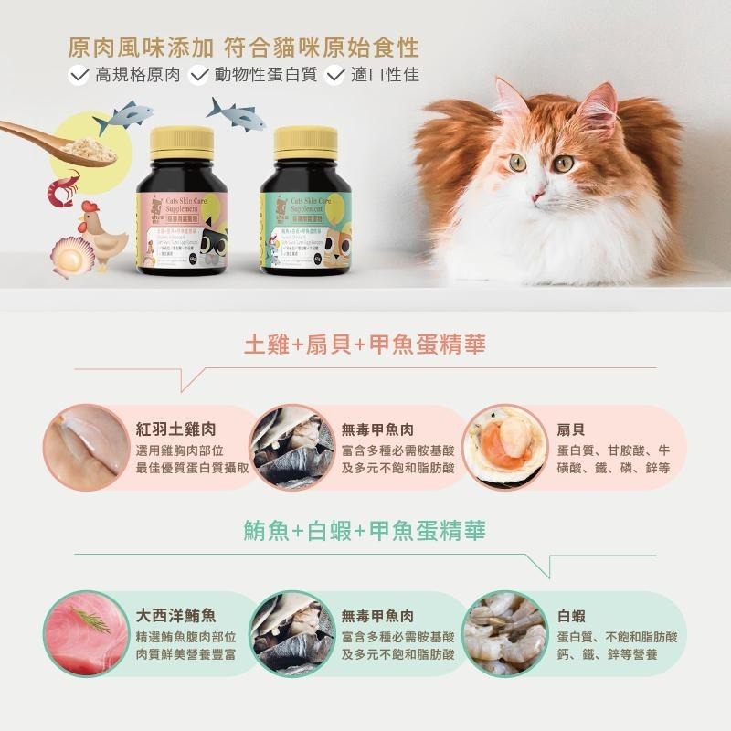 【ChewMe】貓咪 鱉蛋爆毛粉 鱉蛋粉| 原廠正貨 牛磺酸 離胺酸 甲魚蛋 護毛 皮膚問題 營養補充 |TQ MART-細節圖7