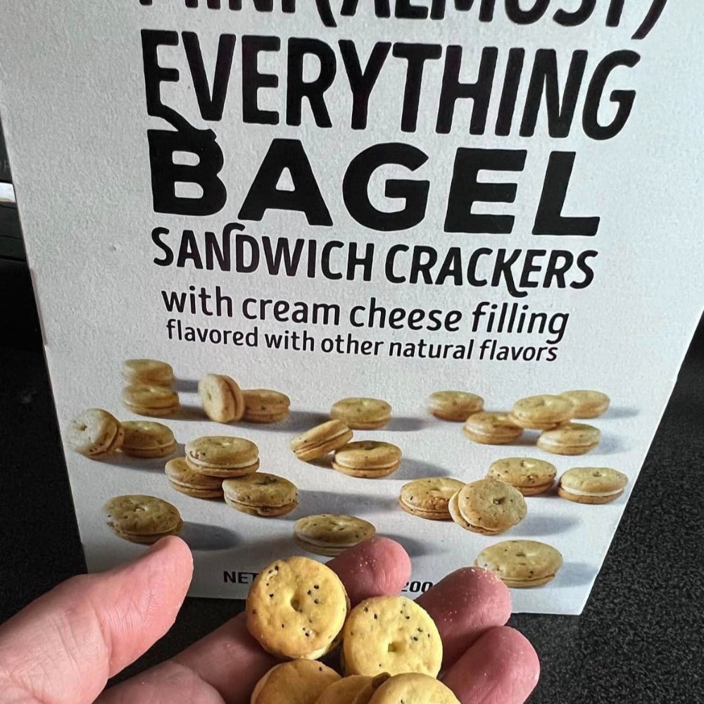 🇺🇸 美國剛上市 Trader Joe’s Everything But the Bagel 餅乾 貝果鹽-細節圖3