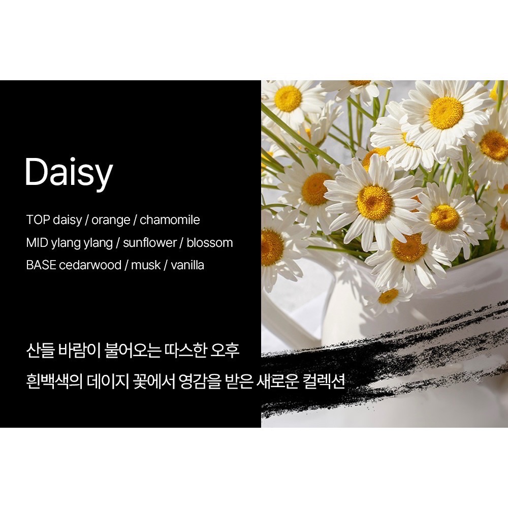 29號 Daisy