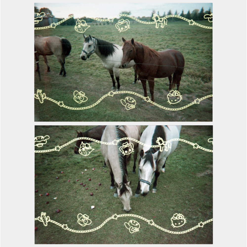 美國 Sanrio 聯名系列 KITTY Howdy PartnerKuromi 皮皮蛙 底片相機 復古相機 相機包-細節圖4