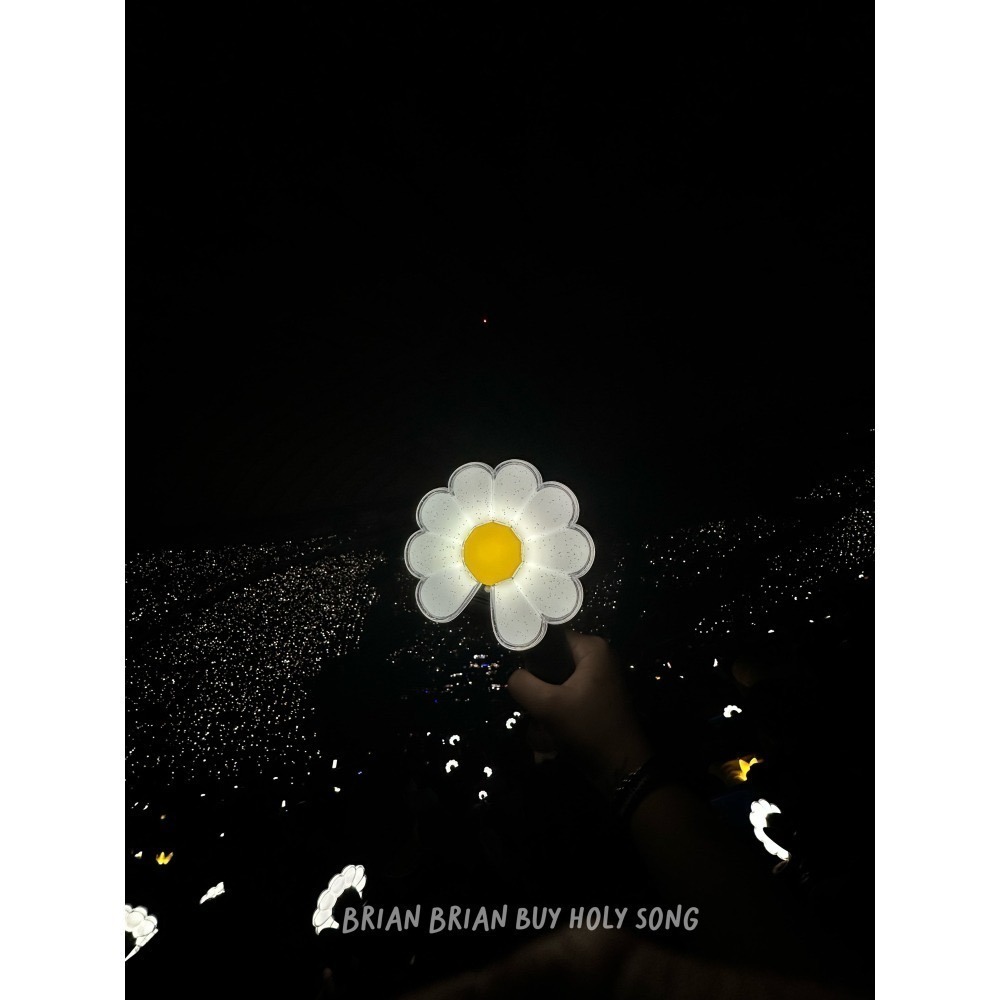 現貨在台灣 G-Dragon GD日本演唱會週邊 手燈 盆栽 帽T-細節圖2