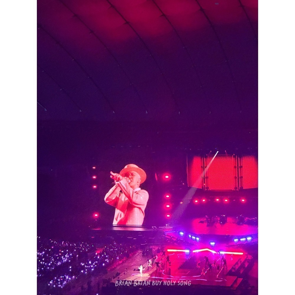 現貨在台灣 G-Dragon GD日本演唱會週邊 手燈 盆栽 帽T-細節圖4