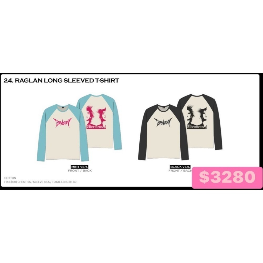 現貨在台灣 G-Dragon GD日本演唱會週邊 手燈 盆栽 帽T-細節圖10