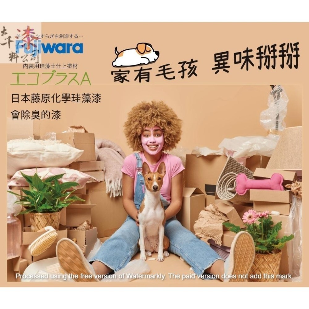 珪藻漆 日本藤原化學 Fujiwara。分解甲醛 調節濕氣 耐燃一級 綠建材 不含重金屬 抗菌 空氣淨化 日本F四星認證-細節圖3