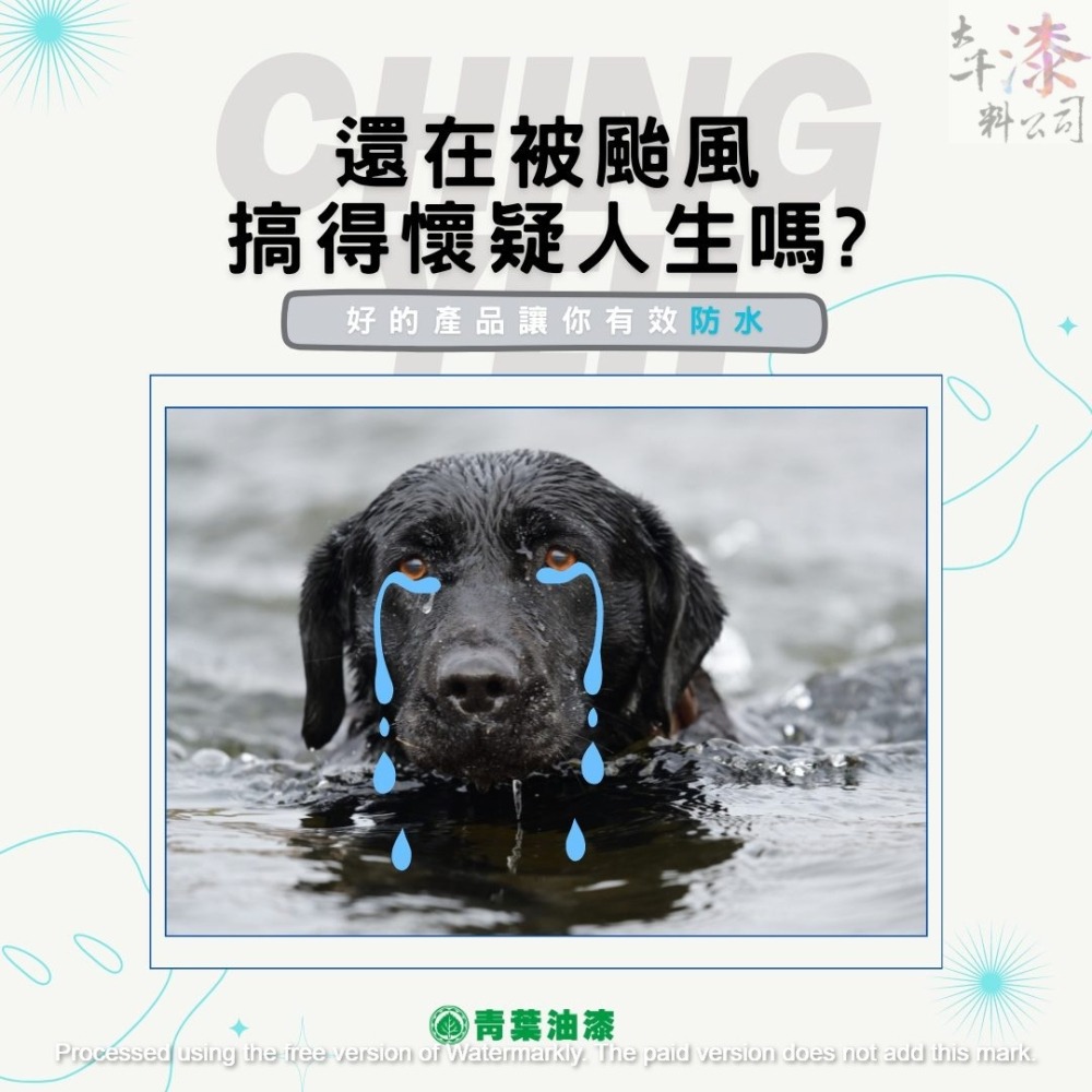 青葉 水性纖維防水膠。屋頂防水 創新日本科技纖維形成的3D膜力彈性防水層。彈性塗層、可預防龜裂-細節圖5