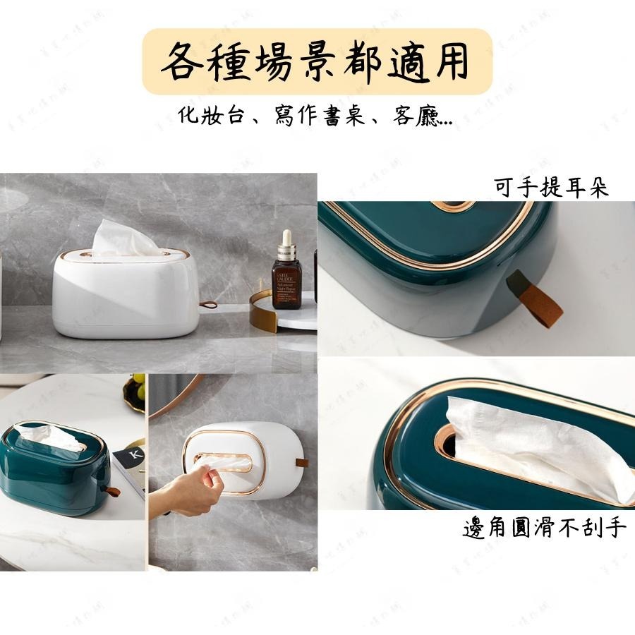 【台灣現貨】衛生紙盒 面紙盒 壁掛面紙盒 淺綠 面紙盒壁掛 衛生紙收納盒 彈簧面紙盒 輕奢風-細節圖3