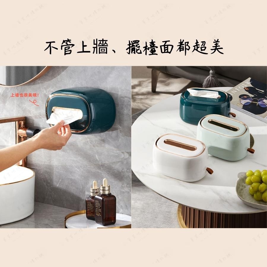 【台灣現貨】衛生紙盒 面紙盒 壁掛面紙盒 淺綠 面紙盒壁掛 衛生紙收納盒 彈簧面紙盒 輕奢風-細節圖4