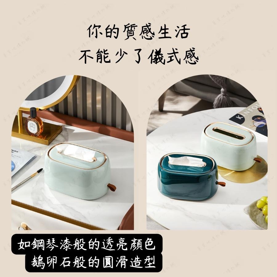 【台灣現貨】衛生紙盒 面紙盒 壁掛面紙盒 淺綠 面紙盒壁掛 衛生紙收納盒 彈簧面紙盒 輕奢風-細節圖6