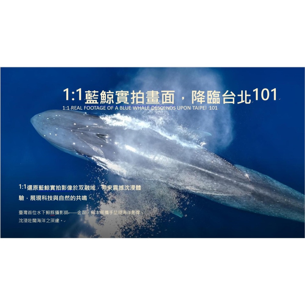 自造自然：超越有機的共生 展覽 双融域Ambi Space One-細節圖6