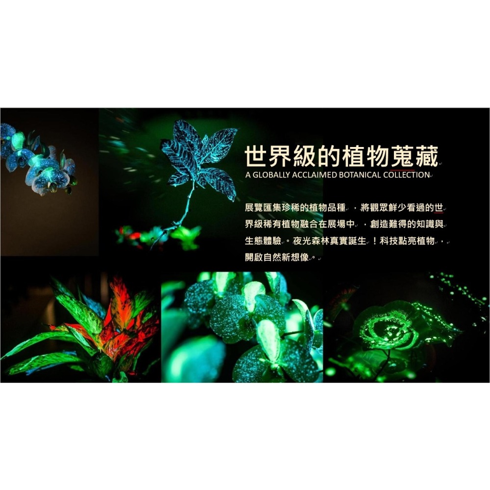 自造自然：超越有機的共生 展覽 双融域Ambi Space One-細節圖7