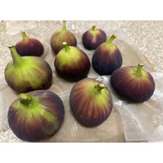 【阿蘭無花果園】新鮮無花果 自產自銷 高雄後驛捷運站附近-細節圖3