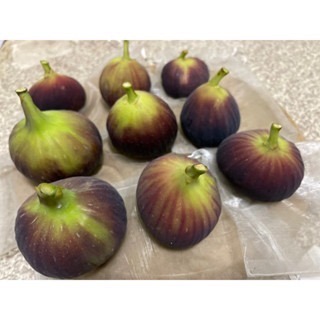 【阿蘭無花果園】新鮮無花果 自產自銷 高雄後驛捷運站附近-細節圖3