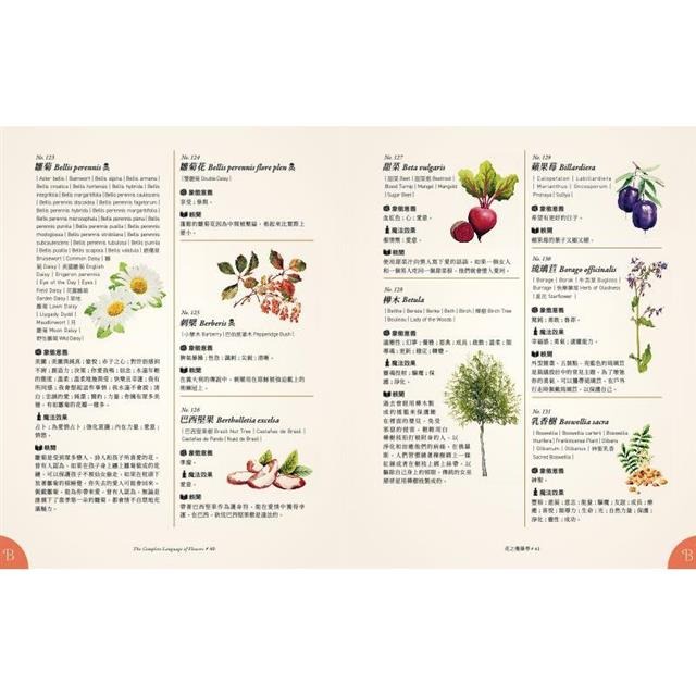 花之魔藥學：1001種花卉象徵意義、魔法效果、古典手繪圖，植物迷必藏珍品！-細節圖3