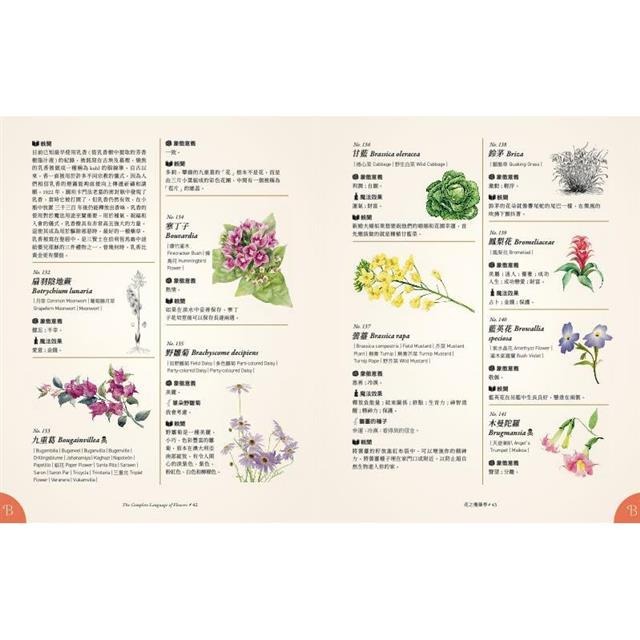 花之魔藥學：1001種花卉象徵意義、魔法效果、古典手繪圖，植物迷必藏珍品！-細節圖4