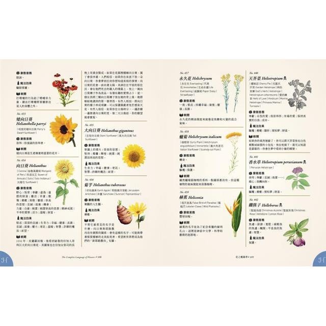 花之魔藥學：1001種花卉象徵意義、魔法效果、古典手繪圖，植物迷必藏珍品！-細節圖5