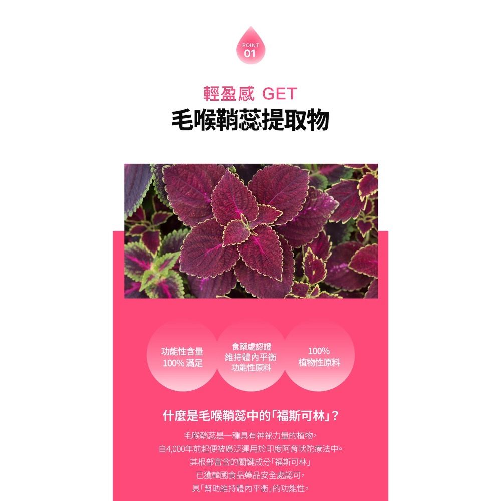 預購/官方授權正品｜🇰🇷韓國小粉水-細節圖5