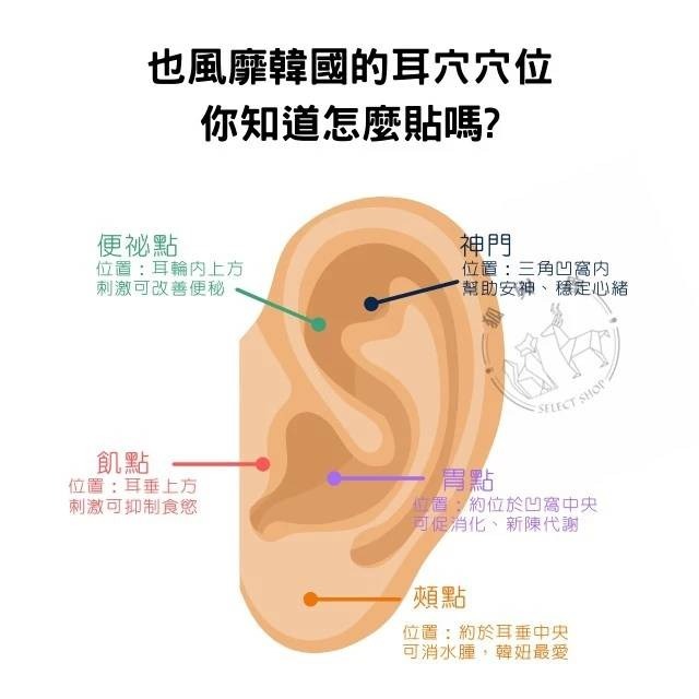 王不留行籽耳穴貼 60粒/片 每片6元 每包有10片=600粒-細節圖2