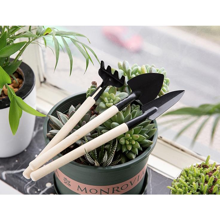 現貨配合蝦皮店到店隔日配【小魚嚴選 台灣出貨】多肉植物園藝挖土三件組 家庭盆栽花挖土鐵耙鐵鏟鬆土用具鏟子 種花種菜-細節圖5