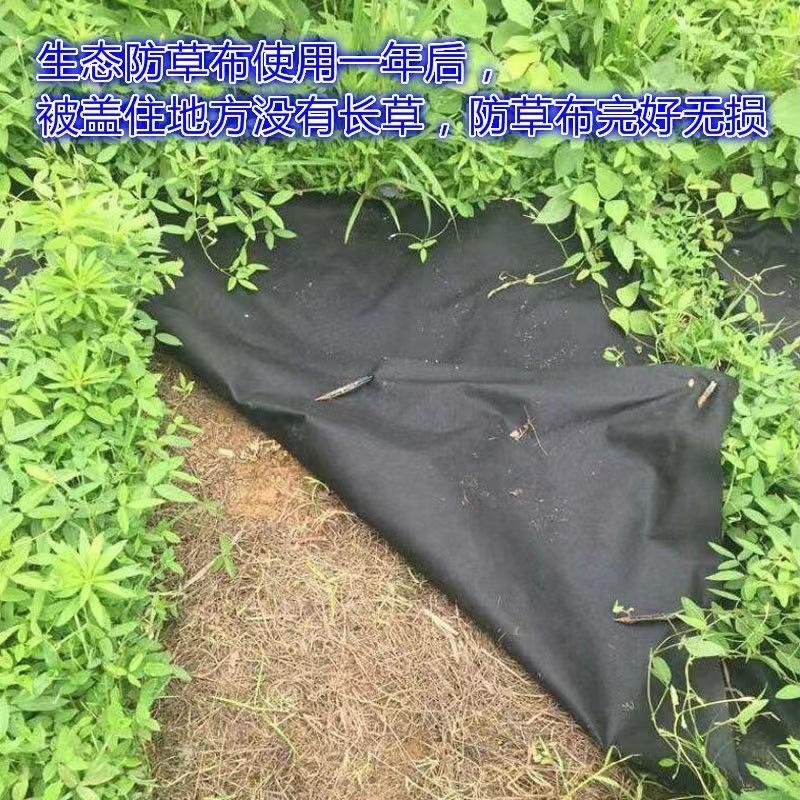 蝦皮店到店隔日配 電子發票【小魚嚴選 台灣出貨】無紡布生態防草布 80cm 120cm 切片款 單片 果園 除草布 地布-細節圖3