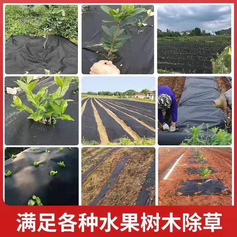 蝦皮店到店隔日配 電子發票【小魚嚴選 台灣出貨】無紡布生態防草布 80cm 120cm 切片款 單片 果園 除草布 地布-細節圖4