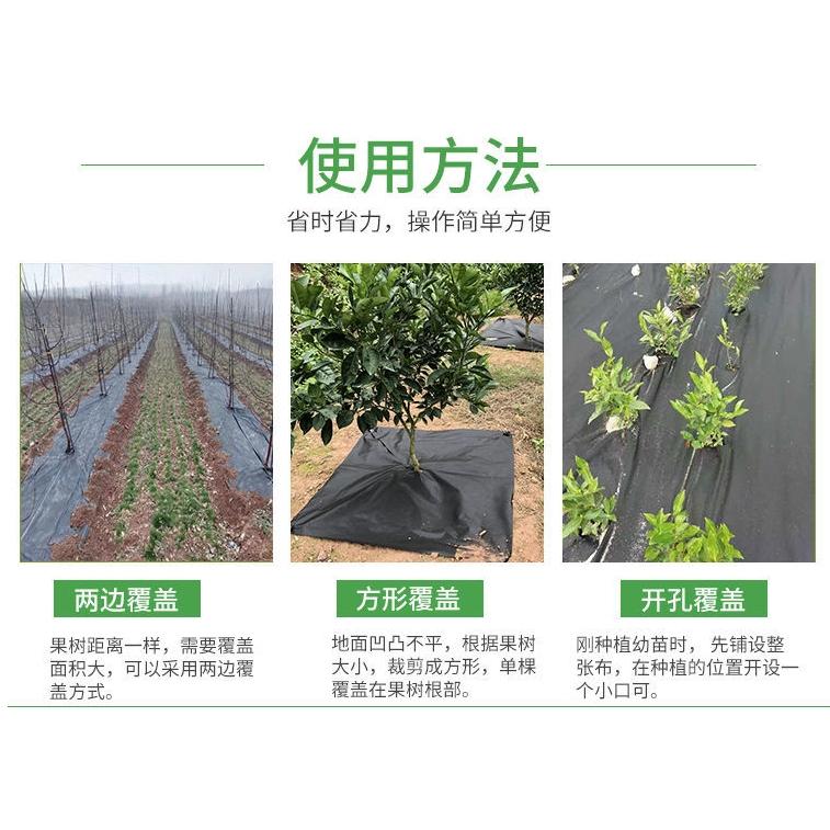 蝦皮店到店隔日配 電子發票【小魚嚴選 台灣出貨】無紡布生態防草布 80cm 120cm 切片款 單片 果園 除草布 地布-細節圖7