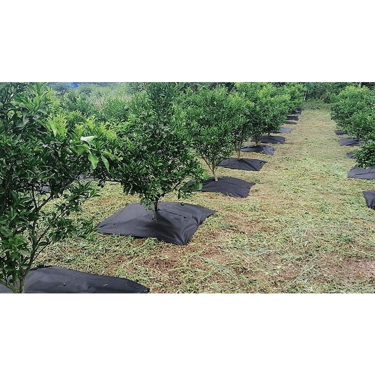 蝦皮店到店隔日配 電子發票【小魚嚴選 台灣出貨】無紡布生態防草布 80cm 120cm 切片款 單片 果園 除草布 地布-細節圖9