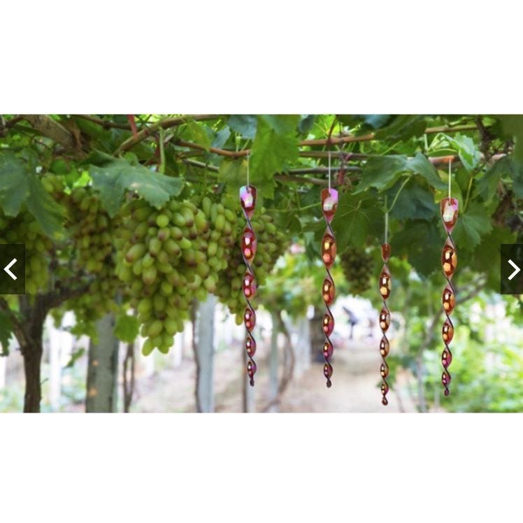 【園藝器具 快速出貨 電子發票】螺旋驅鳥棒 30cm 閃光防鳥工具 反光棒 趕鳥棒 旋轉驅鳥棒-細節圖8