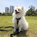 [Glopet]韓國高質感時尚多功能外出寵物牽繩-2M（可斜背、綁腰間）-規格圖6