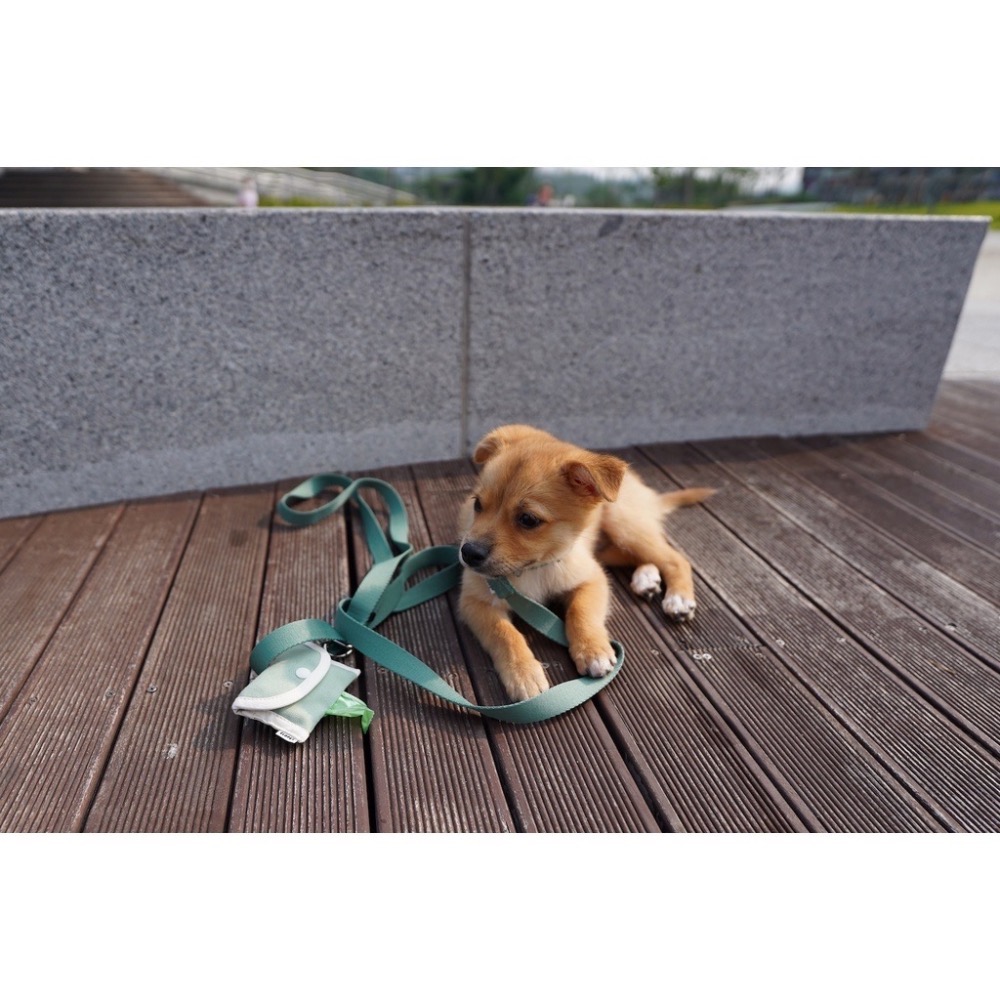 [GLOPET] 韓國高質感設計寵物散步便便袋收納包(附贈塑膠袋)-細節圖4