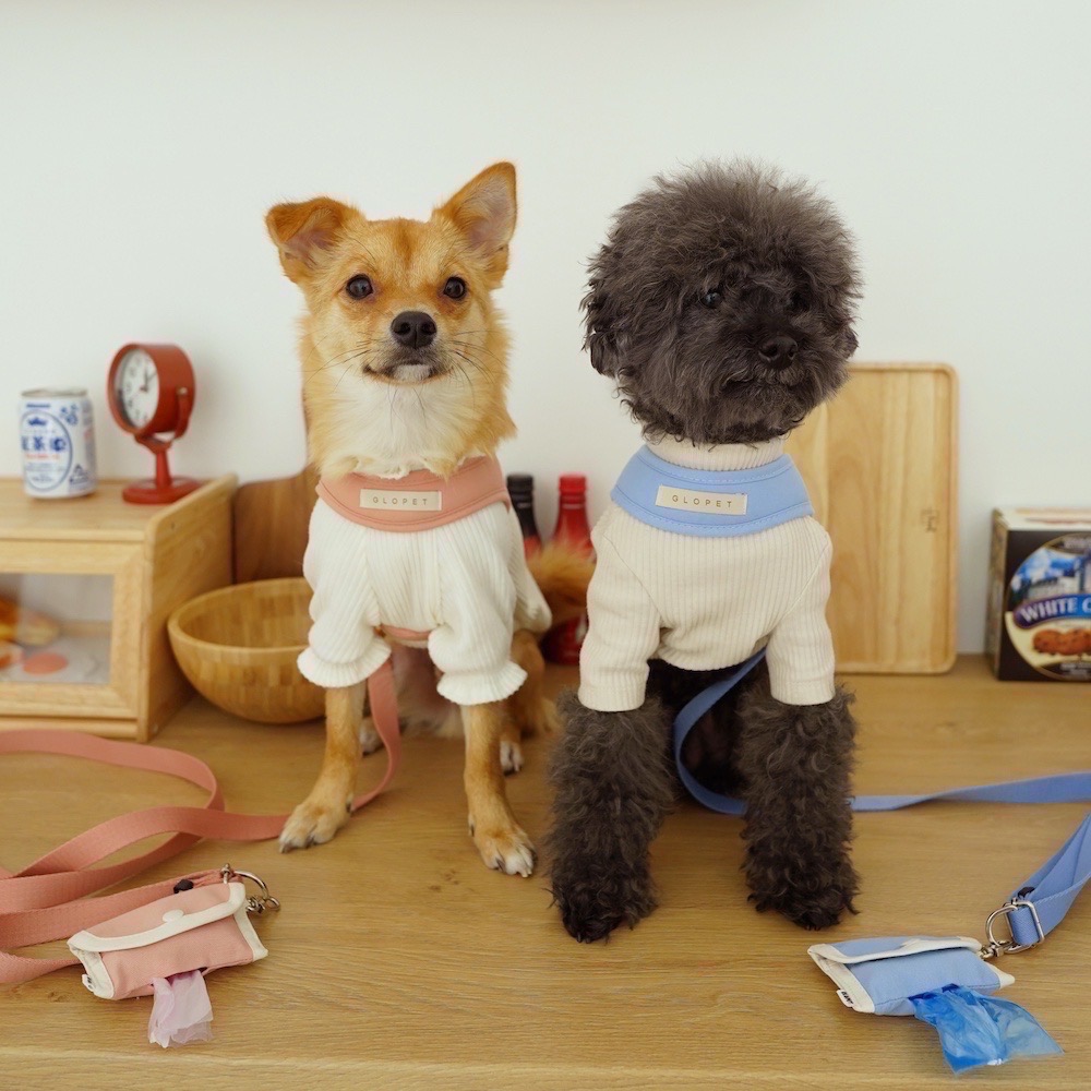 [GLOPET] 寵物Ｖ型胸背帶＋牽繩＋便便袋 寵物用品優惠組合包-細節圖2