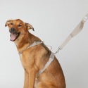 [Glopet] 大型犬牽繩+H型胸背帶(組合賣場)-規格圖6