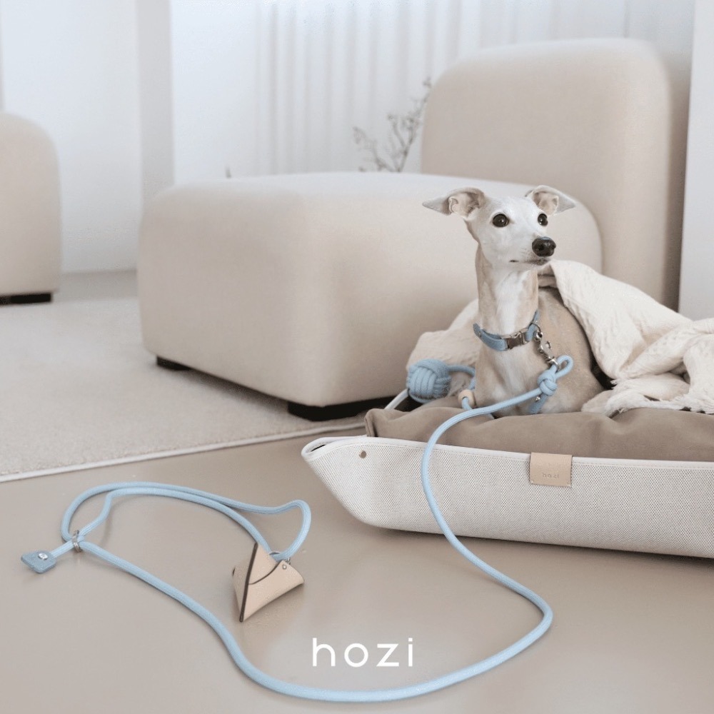 [HOZI] Hozi 3way hands free leash 多功能輕鬆散步牽繩-細節圖5