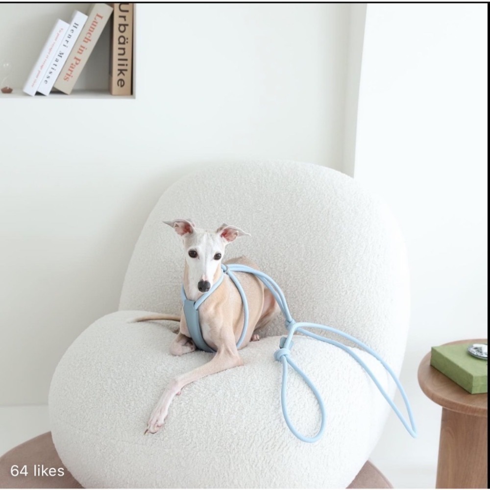 [HOZI] Hozi all-in-one harness 二合一胸背帶牽繩-細節圖2